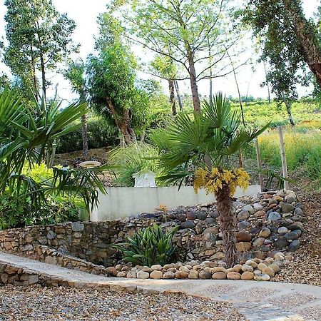 Ferreira do Zêzere Oak Cottage מראה חיצוני תמונה